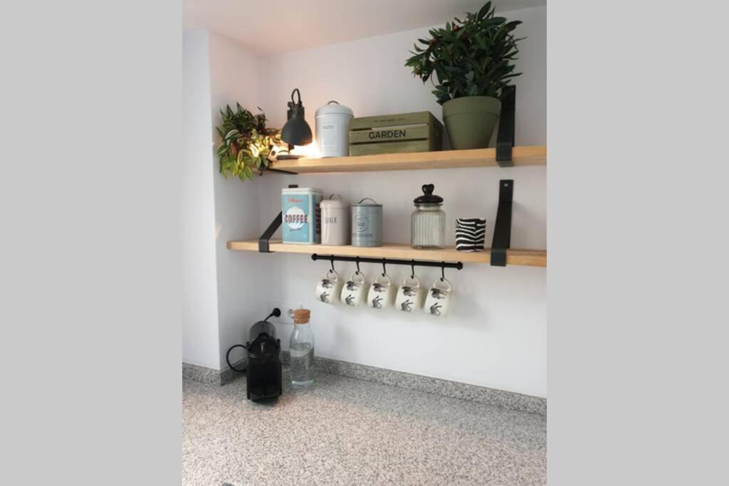 Appartement Luxury 50m From Arenal Sandy *